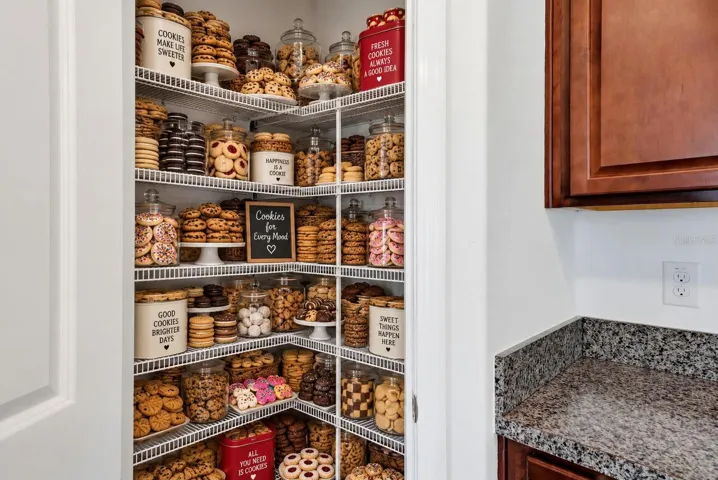 LOOK at how big this pantry is!
