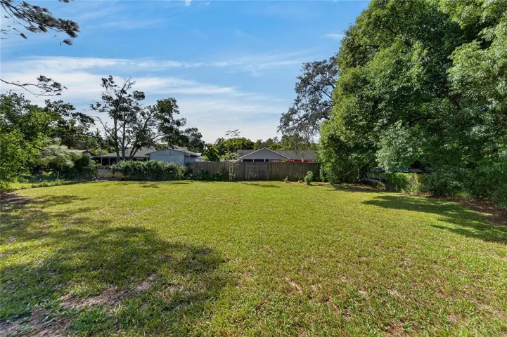 Back yard
