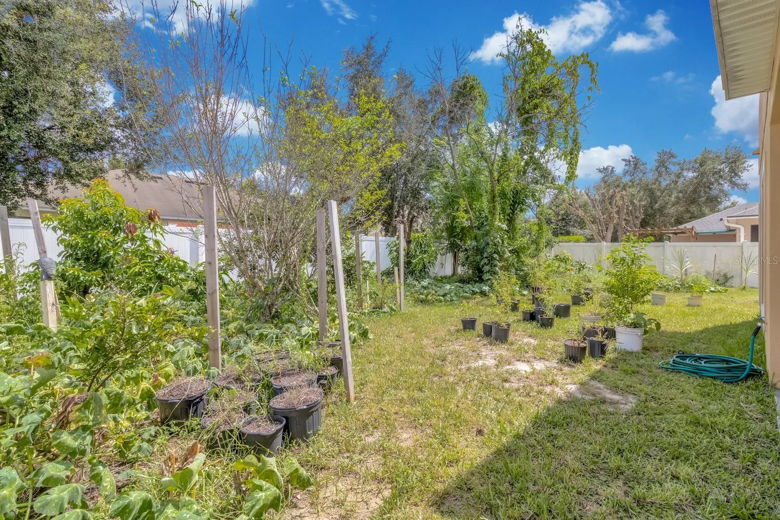 Backyard Farm