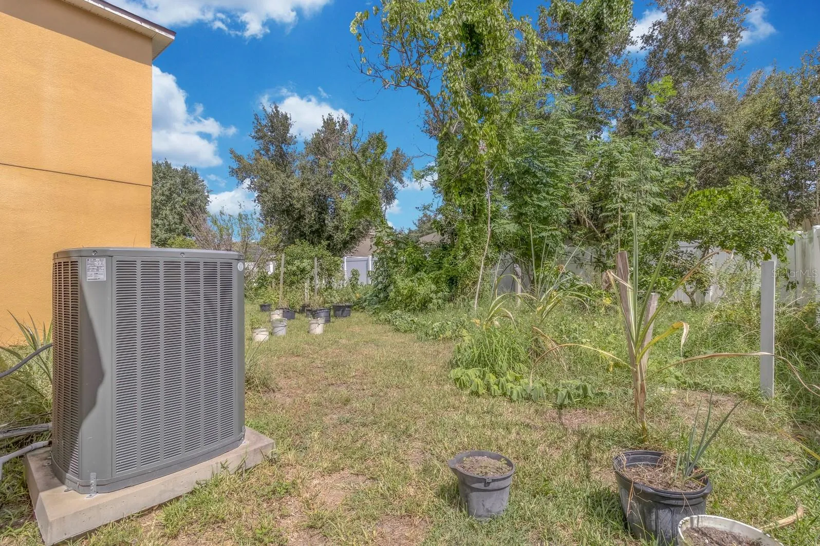 Backyard Farm
