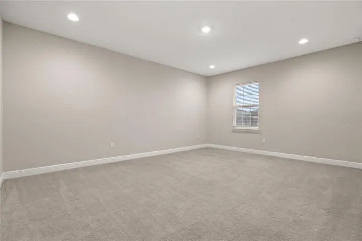 Media room or secondary primary room