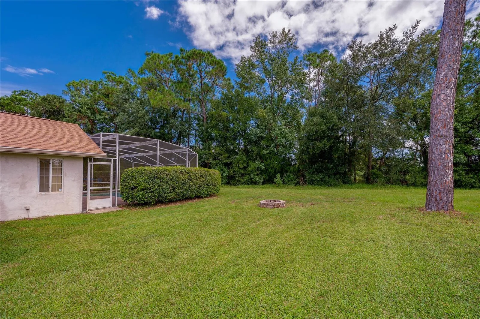 Expansive grassy backyard featuring a stone fire pit, mature trees, and a view of the pool enclosure.