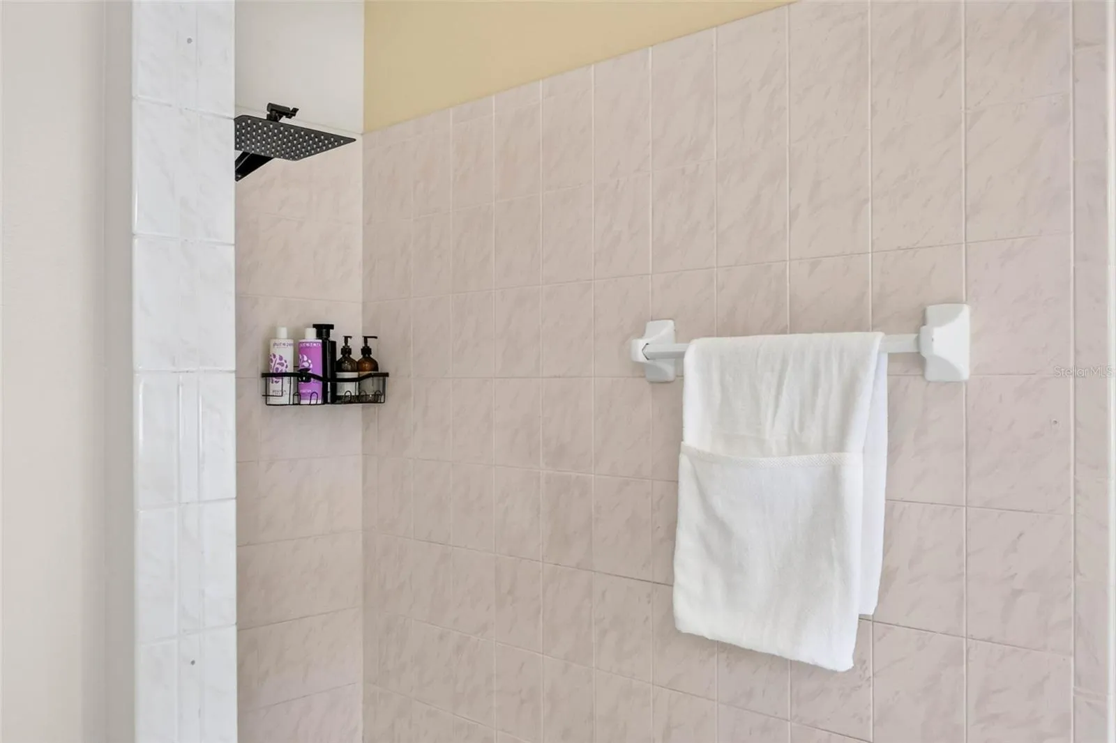 Large primary bath with shower and separate garden tub