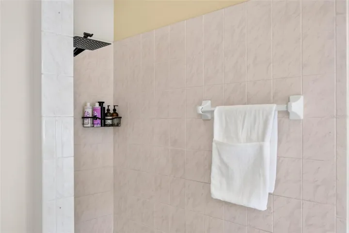 Large primary bath with shower and separate garden tub