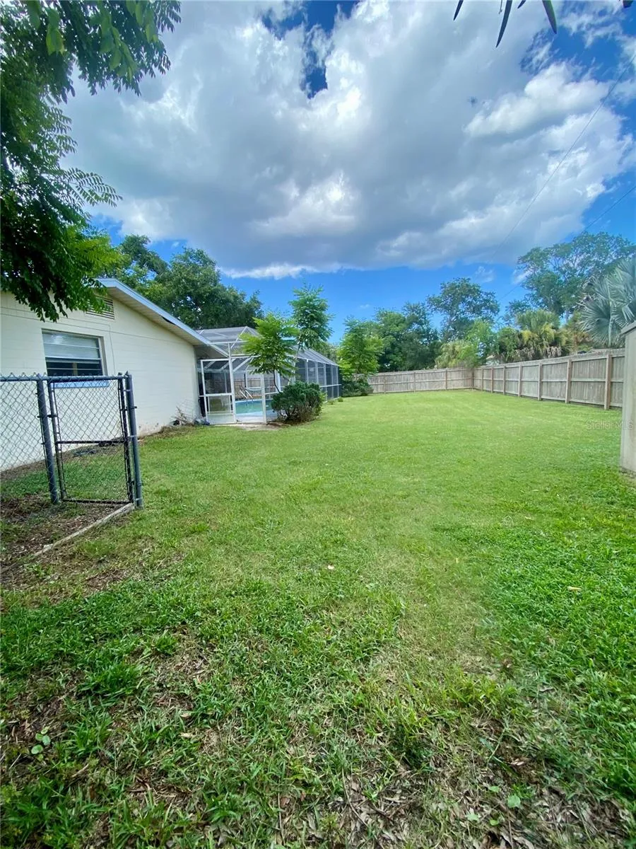 Backyard