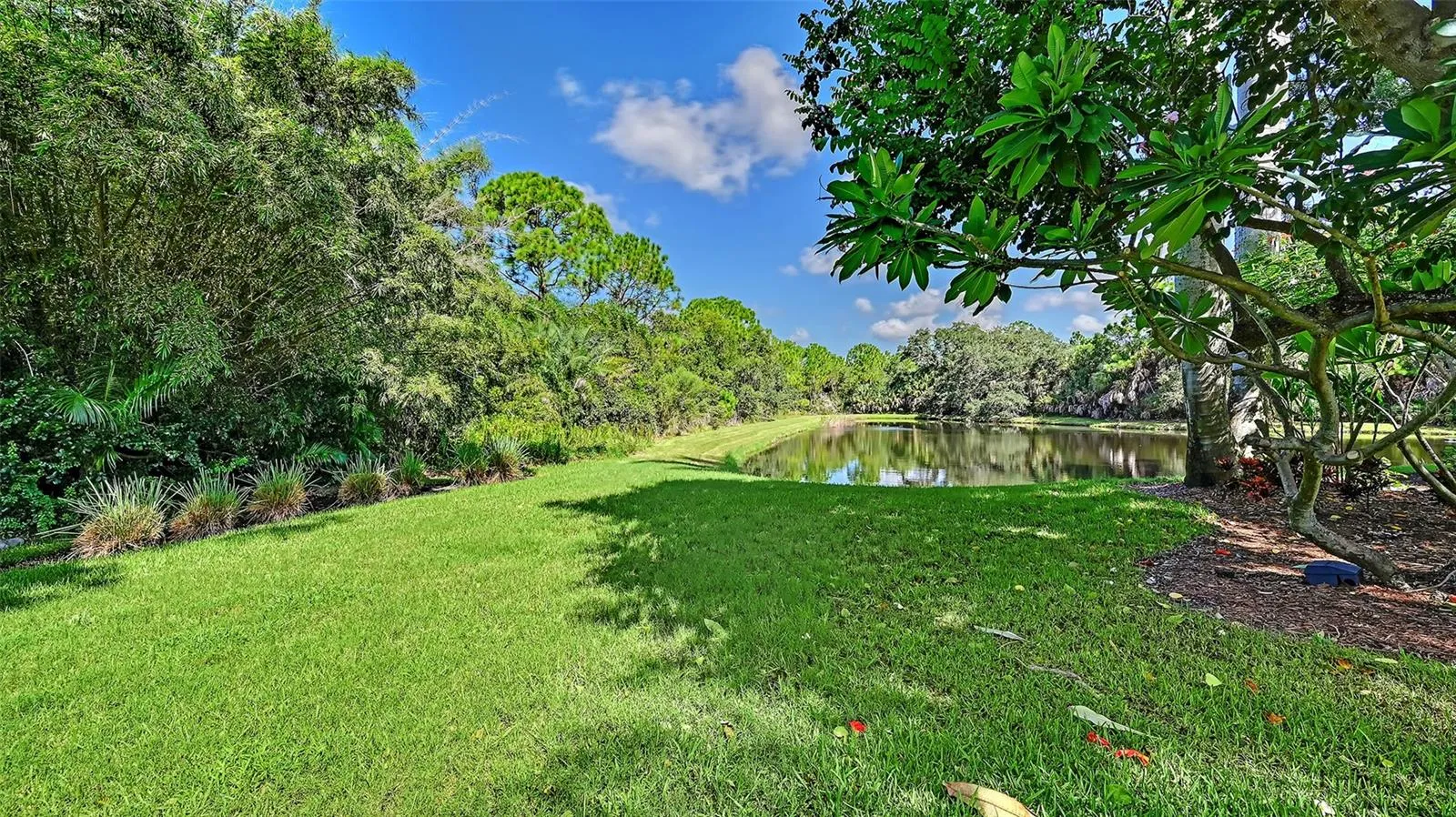 The Lake View.