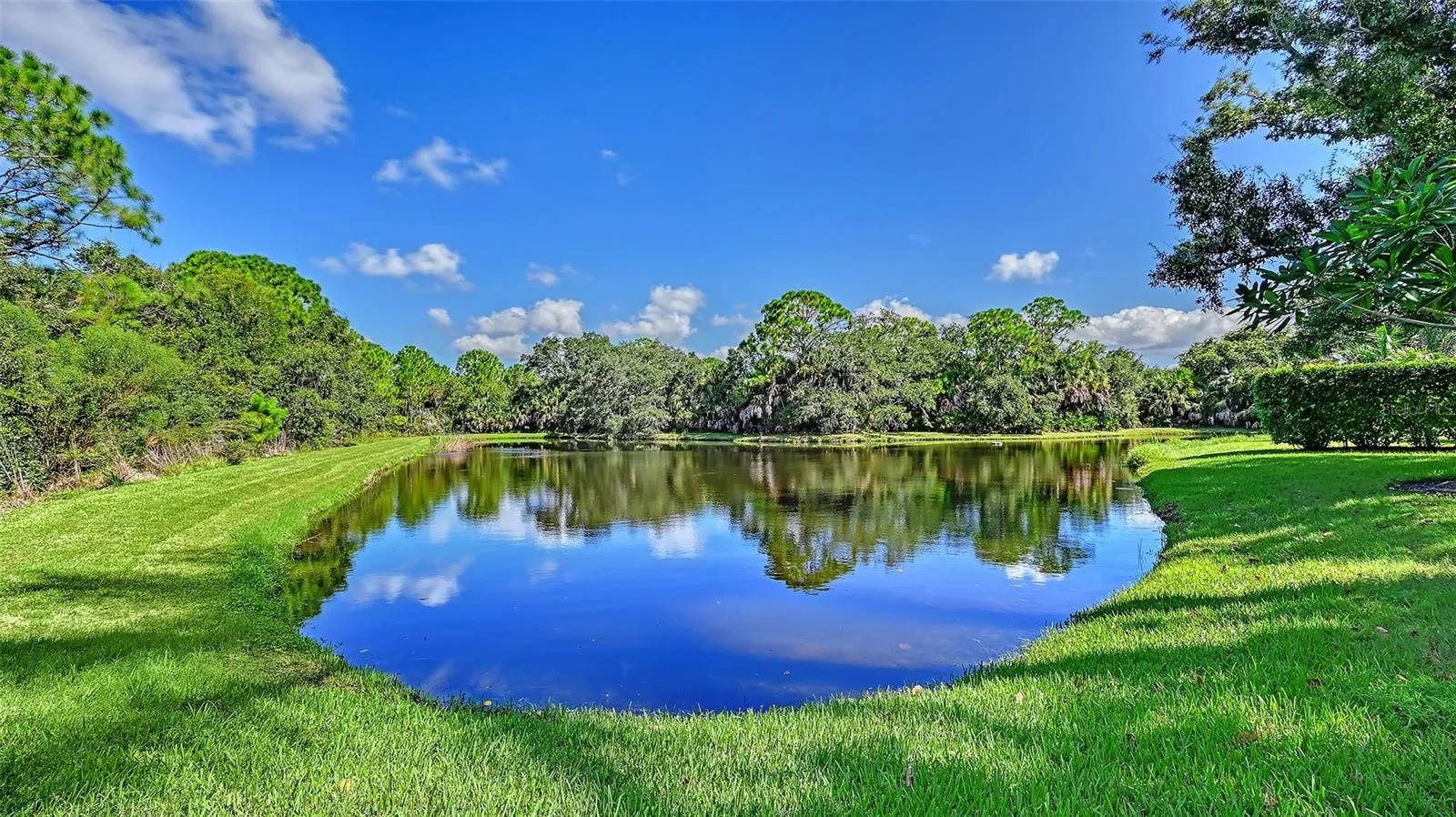 The Lake view.