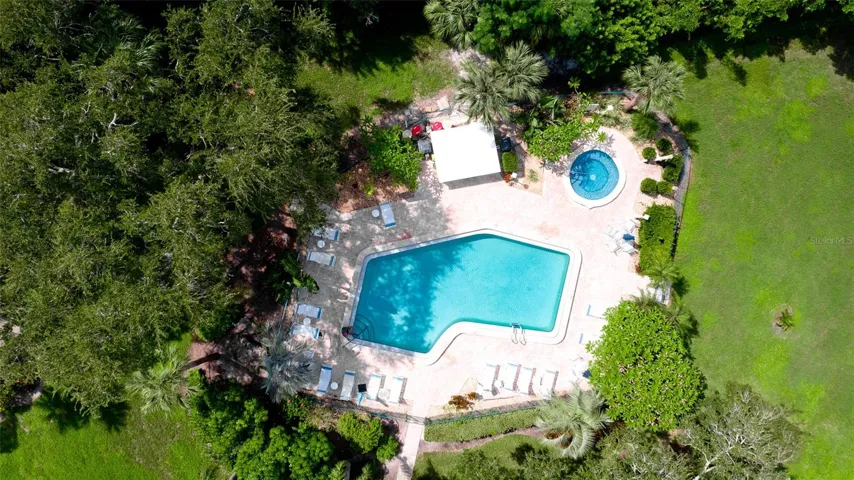 Swimming pool in Wild Palm Cluster