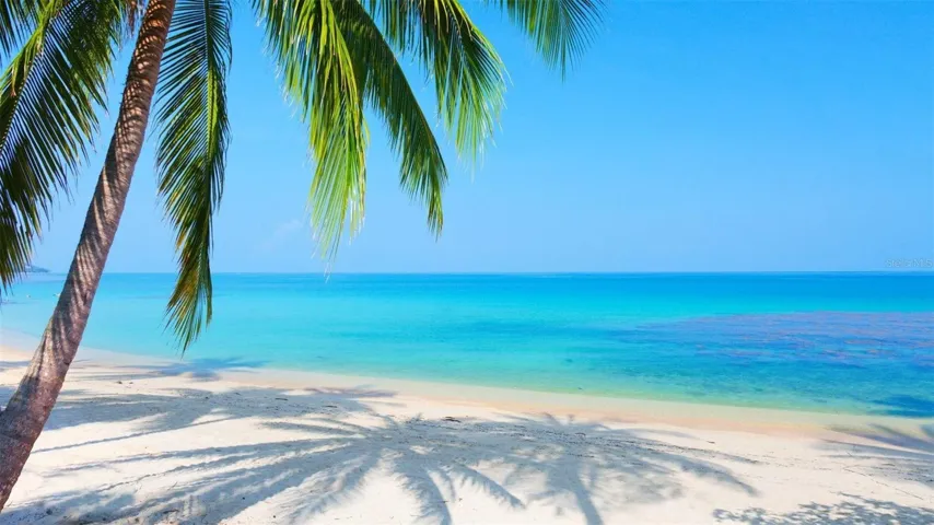 Beautiful Gulf Beaches