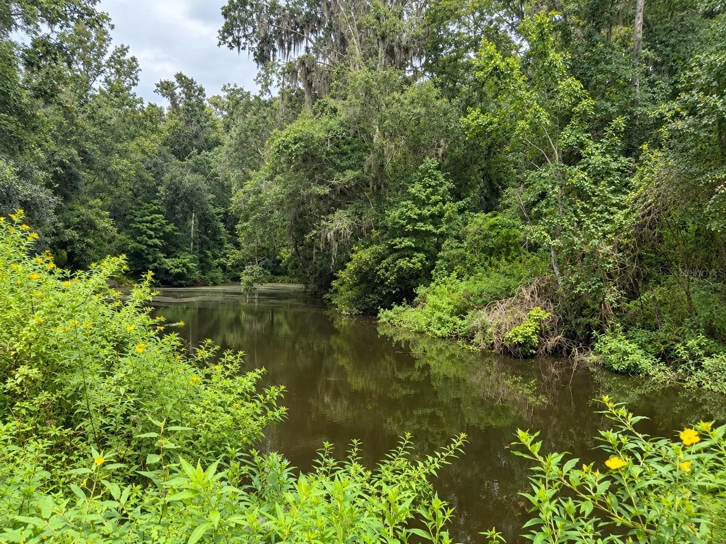 one of the two Ponds