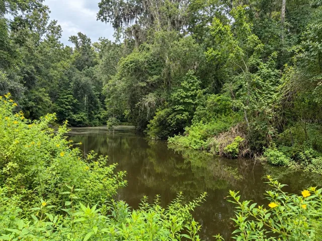 one of the two Ponds