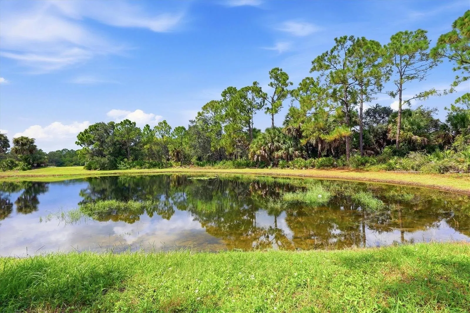 Pond Views
