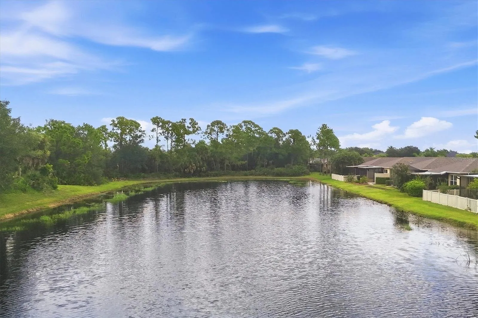 Pond Views