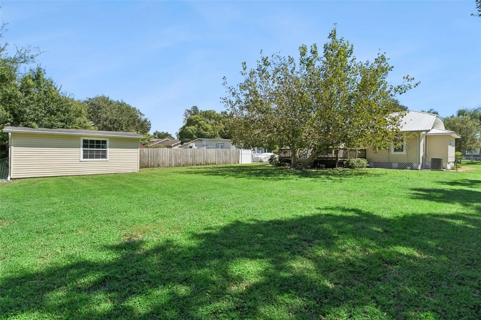 Back Yard