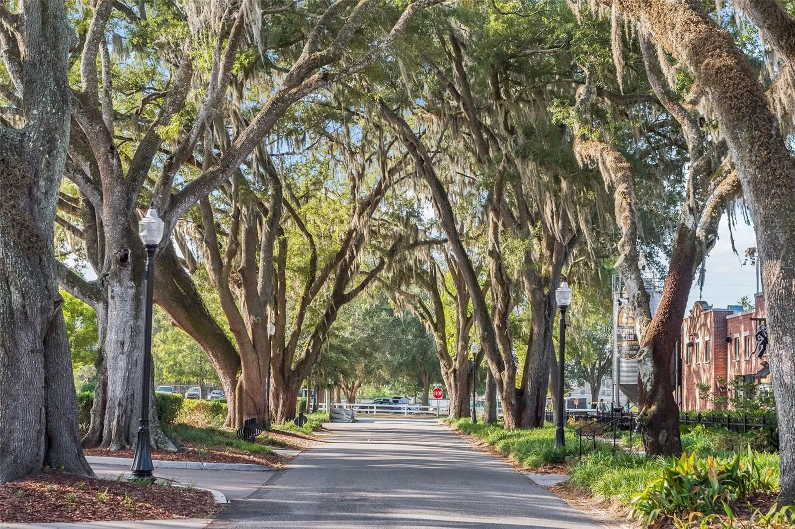West Orange Trail