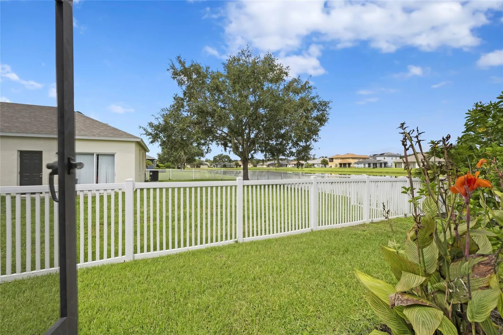 Fenced in Backyard