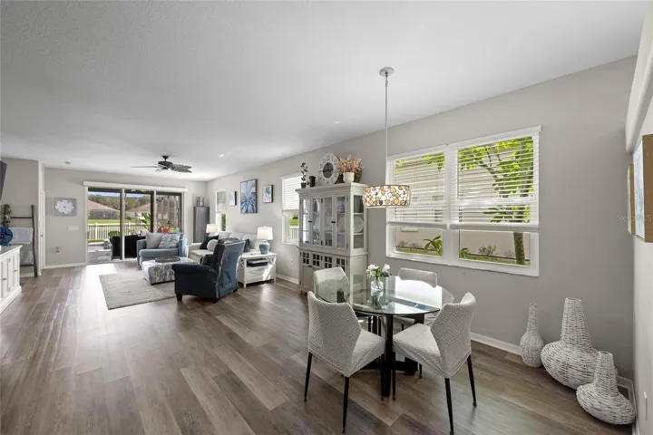Dining/Living Room
