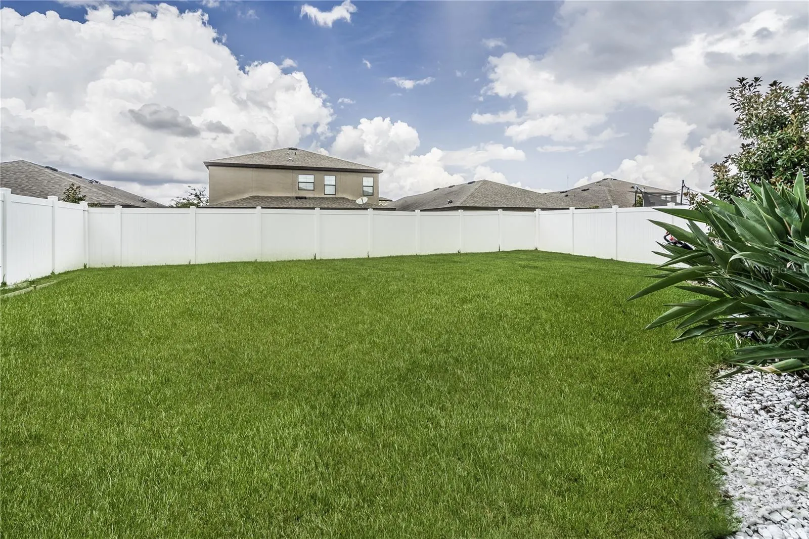 Grassy backyard with plenty of room for a pool