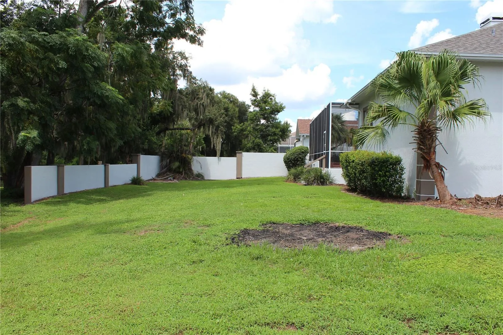 Back yard