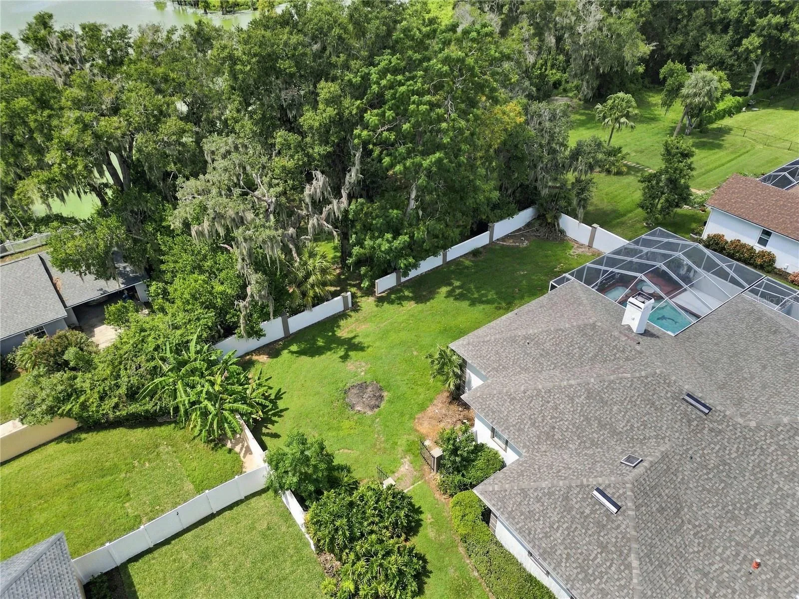 Back yard