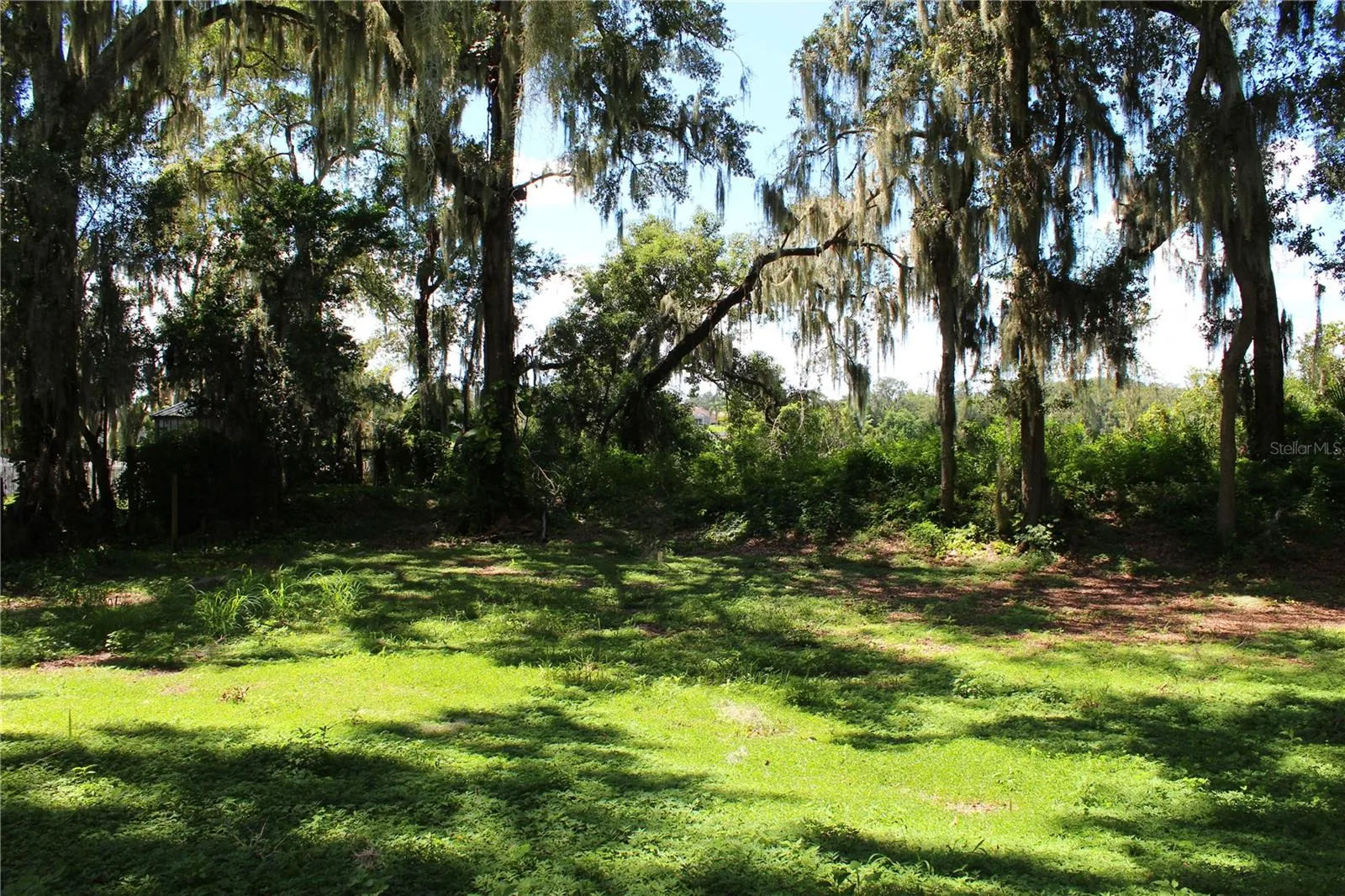 Back yard behind wall