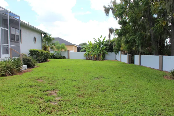 Back yard