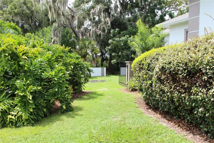 Left side yard