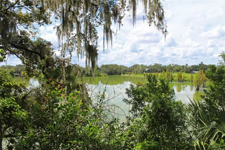 Lake view