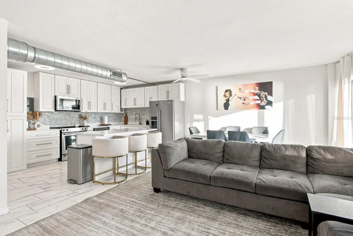 Living Room / Dining Room / Kitchen