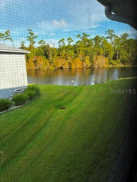 View from screened Lanai