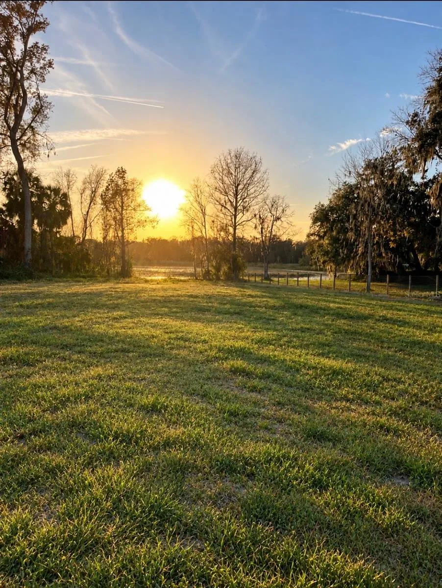 Sunset over the pond.       AI used to enhance grass.