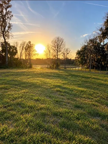 Sunset over the pond.       AI used to enhance grass.
