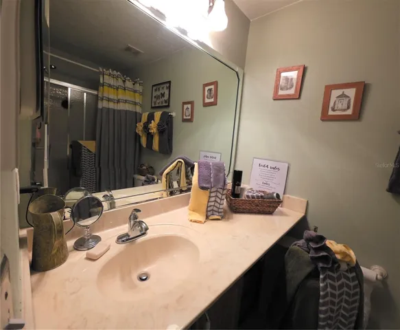 Large vanity area-Second bathroom