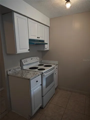 Side B all newly updated kithchen cabinets and refrigerator