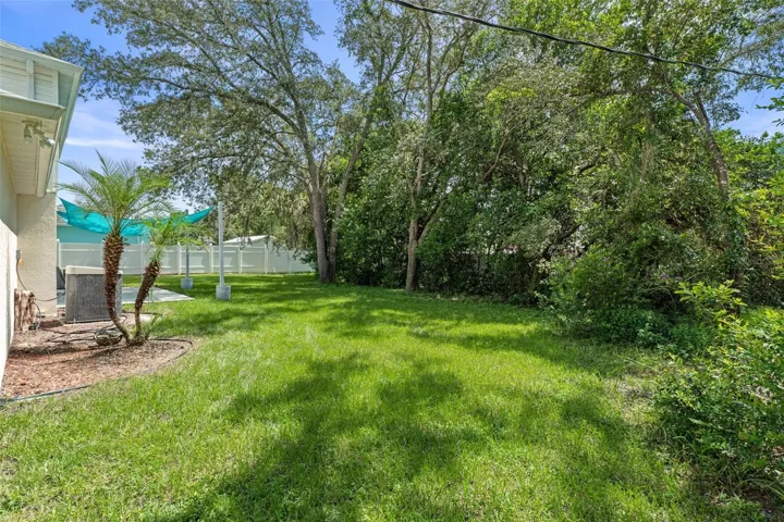Backyard Space