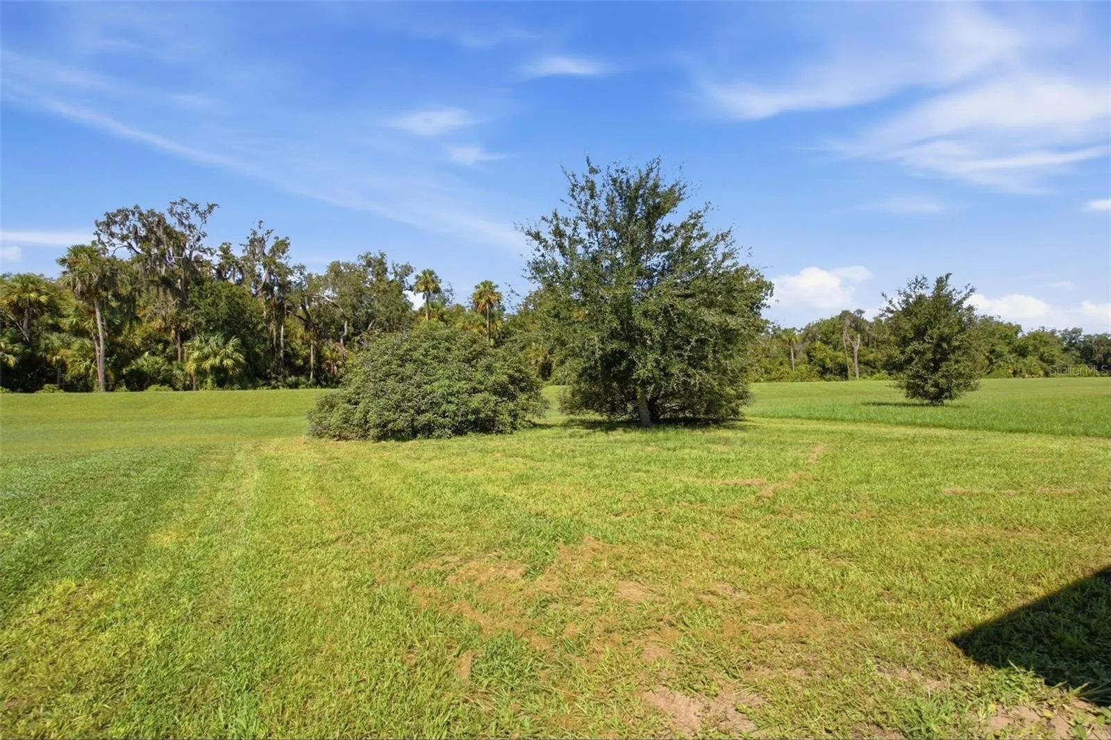 Backyard view...backs up to the Preserve!
