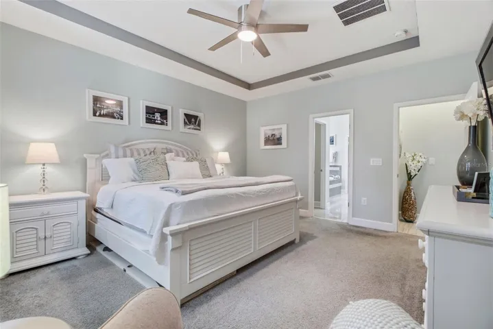 Primary bedroom with tray ceiling