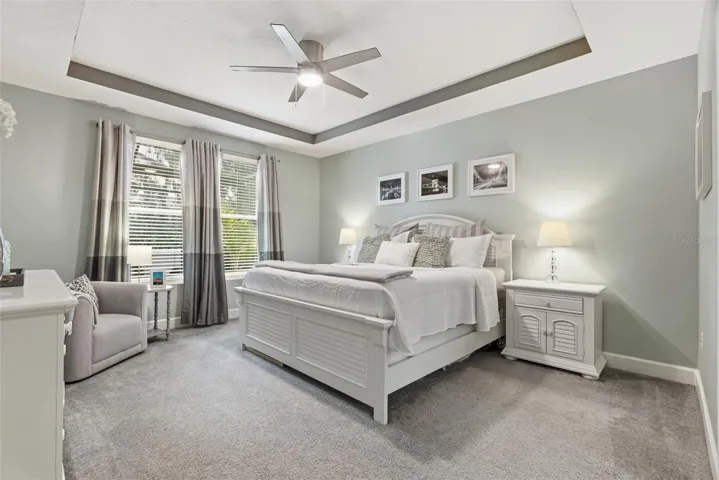 Primary bedroom retreat featuring a tray ceiling and ample natural light.