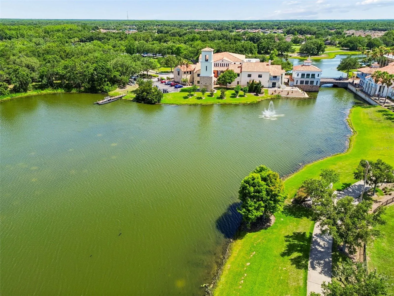 Aerial Lakeview