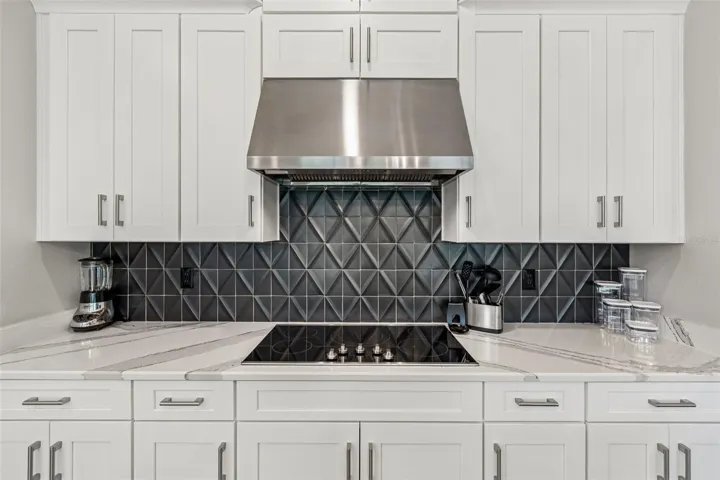 Stainless Steel HOOD &amp; Black Tile backsplash