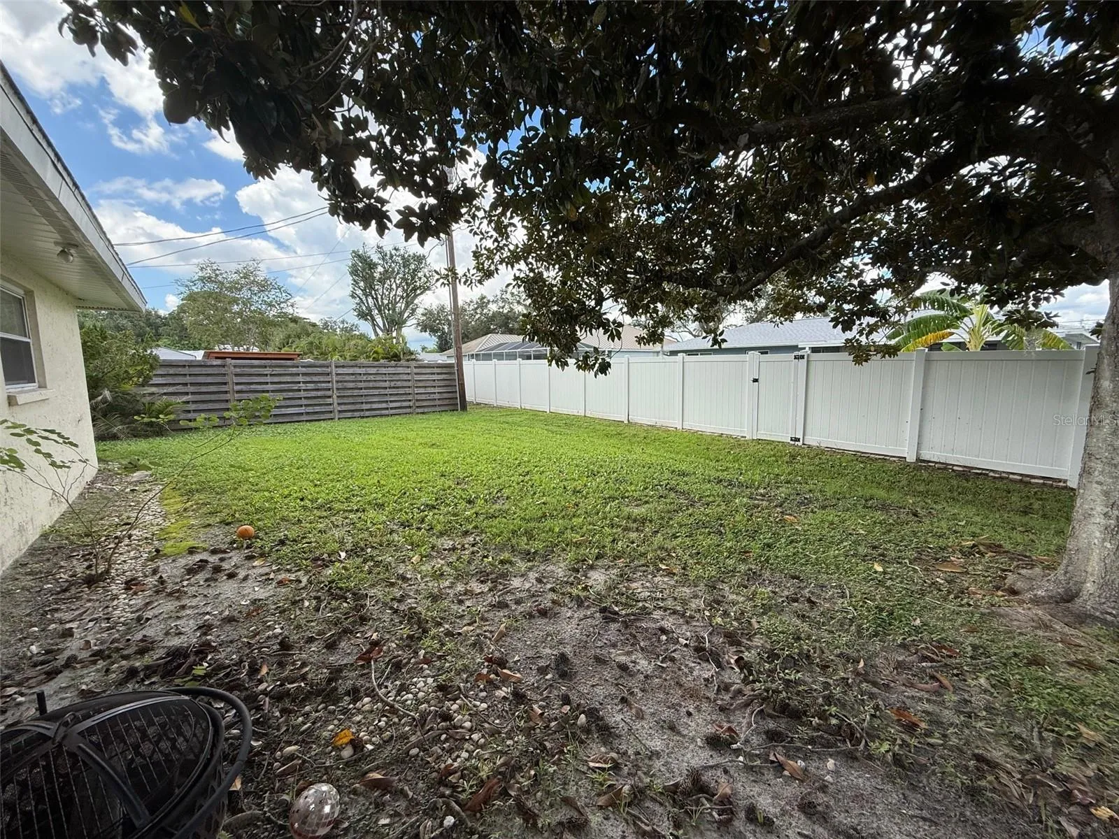 Backyard