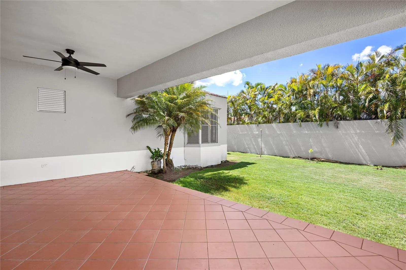 Private yard with recently planted fruit trees.