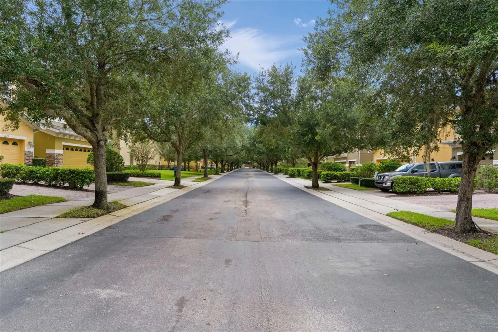 Tree-lined streets