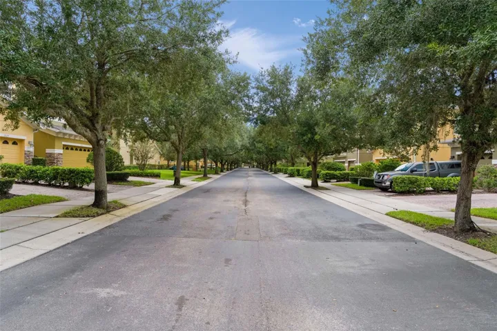 Tree-lined streets