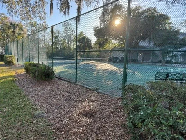 Tennis/pickle ball