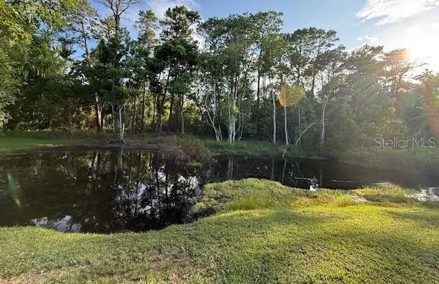 Conservation area/pond