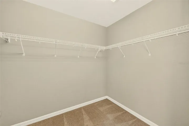 Primary Suite Walk-In Closet #2