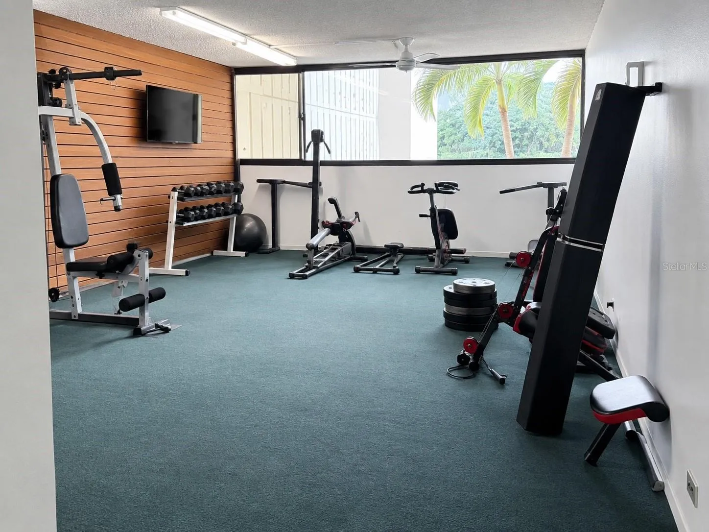 GYM