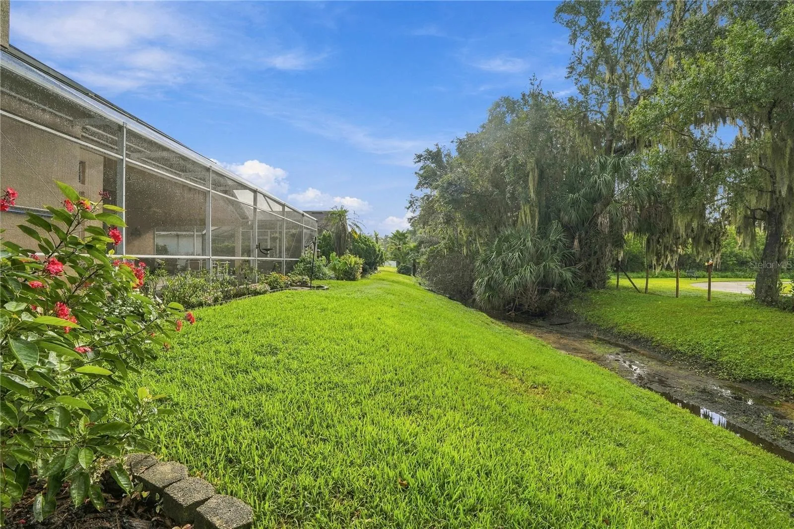 Rear Yard
