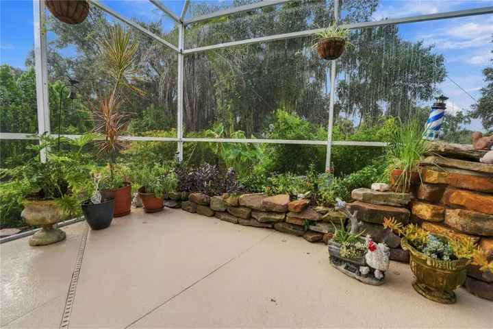 Lanai/Pool Area